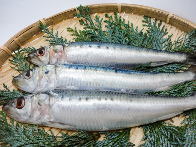 イワシの食べ過ぎは体に悪い 適量や栄養 効果についても詳しく解説 食べ物辞典